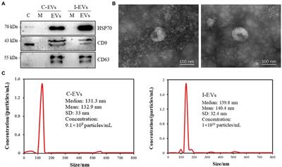 Label-free relative quantitative proteomics reveals extracellular vesicles as a vehicle for Salmonella effector protein delivery